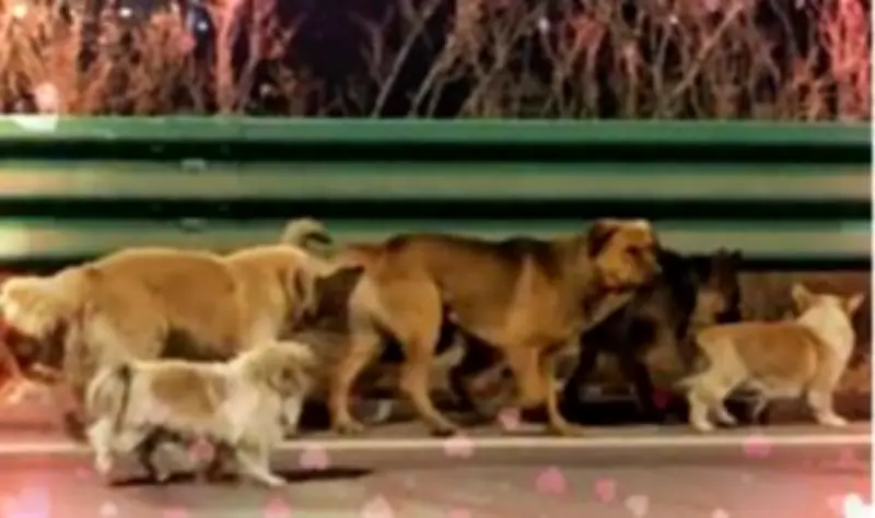 สหพันธ์ขนส่งรวมพลรถบรรทุกที่แหลมฉบัง 18 มี.ค. เรียกร้องรัฐบาลแก้วิกฤติน้ำมัน