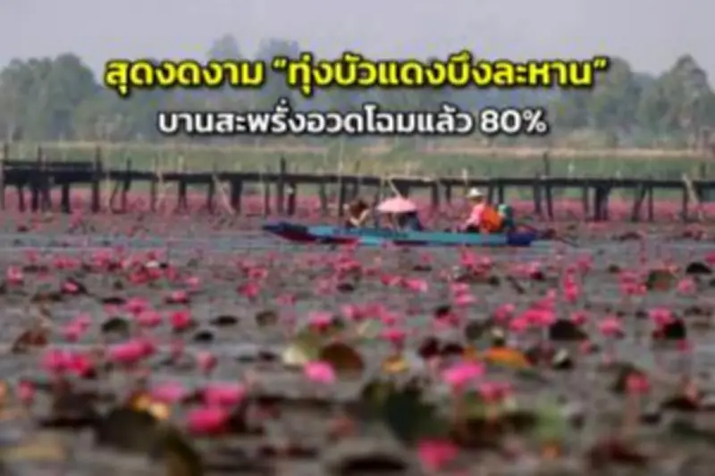 เที่ยวญี่ปุ่นช่วงโอลิมปิก 2024 ราคาแพงขึ้น 30% ต้องจองล่วงหน้า 6 เดือน