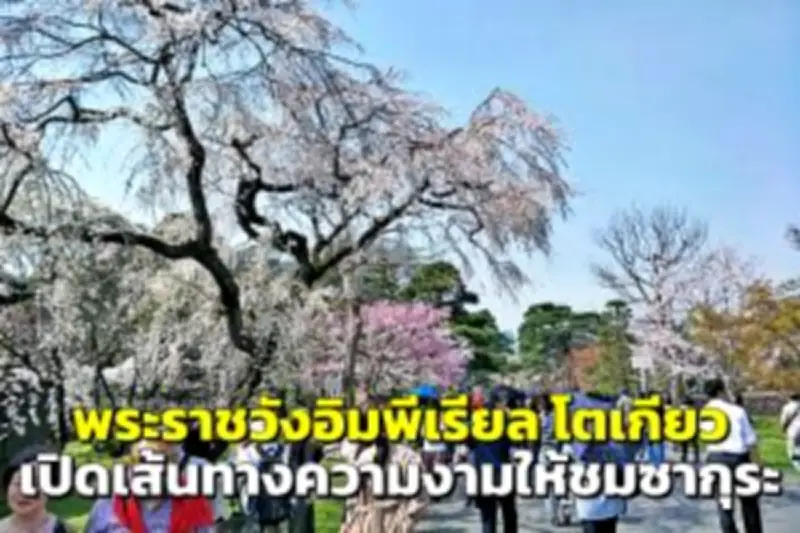 เที่ยวเชียงใหม่ช่วงหน้าหนาว 2567 กับ 5 สถานที่ชมดอกนางพญาเสือโคร่งบานสะพรั่ง