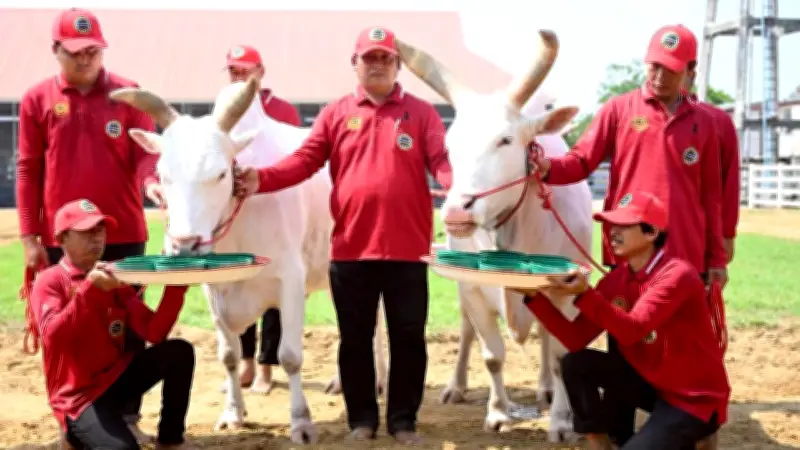 วิกฤติพลังงาน 2569: ประเทศไทยเผชิญความท้าทายด้านน้ำมันขาดแคลนและความเชื่อมั่นทางการเมือง