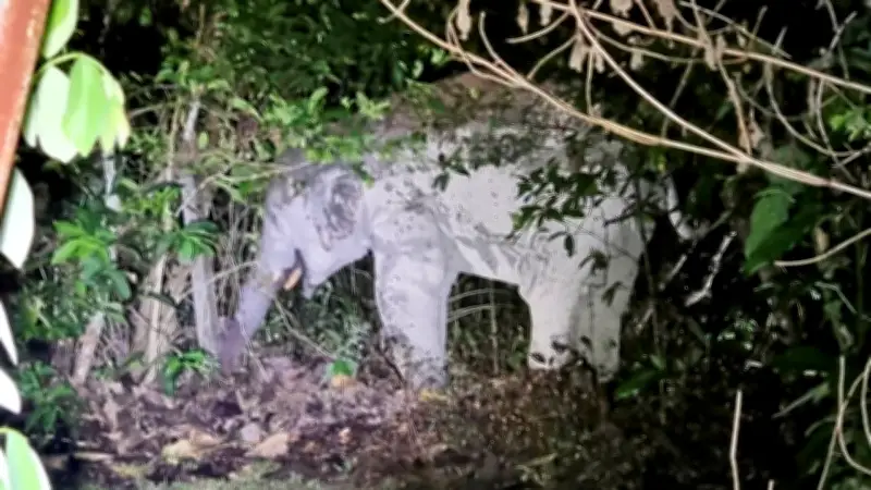 โสภณ คว้าประธานสภา มติท่วมท้น 289 เสียง พร้อมวิกฤตปั๊มน้ำมันขาดแคลน