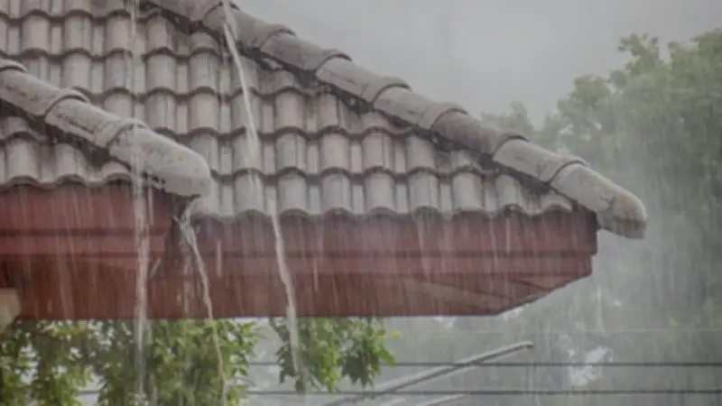 กรมอุตุนิยมวิทยาเตือนฉบับ 4 พายุฤดูร้อนถล่มไทยตอนบน 3-6 มี.ค. ฝนหนัก-ลมแรง