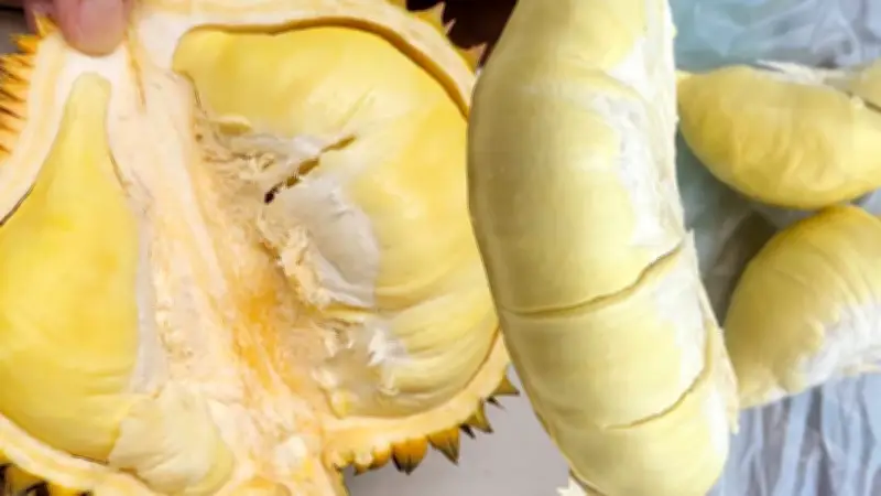 5 อันดับทุเรียน GI สร้างรายได้สูงสุดปี 68 'ทุเรียนชุมพร' นำแชมป์ทำเงิน 4.9 หมื่นล้านบาท