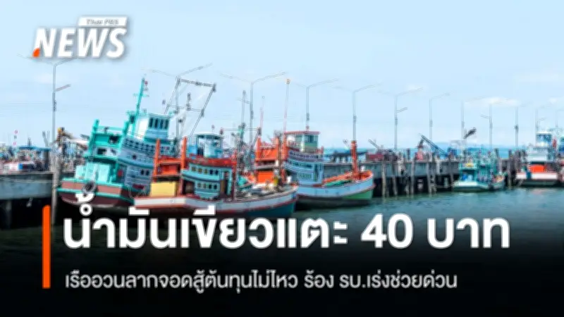 วิกฤตน้ำมันเขียวพุ่ง 6.50 บาท/ลิตร เรือประมงจอดระนาว ต้นทุนบานปลาย สมาคมร้องรัฐเร่งช่วยด่วน
