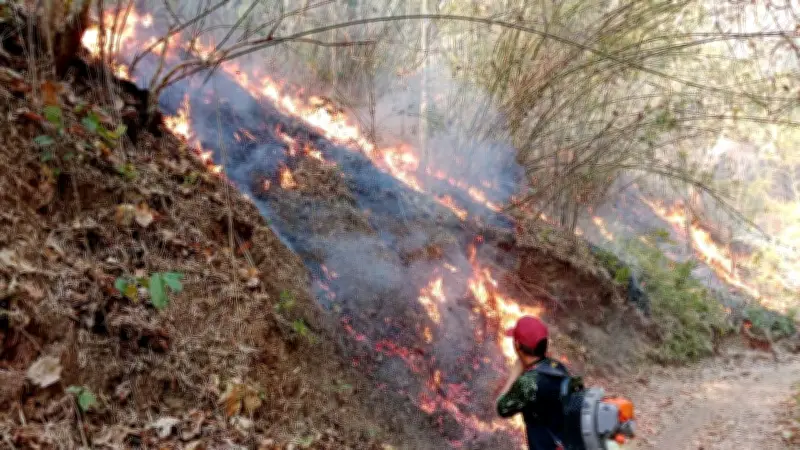 เด็กอนุบาลออมเงินโรงเรียนสะสมกว่า 7 หมื่นบาท แม่เปิดใจตั้งเป้าปีหน้าทะลุแสน