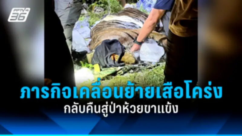 รัฐบาลเดินหน้าแผนปฏิรูปโครงสร้างพื้นฐานดิจิทัล ตั้งเป้าพัฒนาเครือข่ายอินเทอร์เน็ตความเร็วสูงทั่วประเทศ