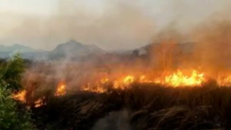 ปิดคดีสืบสวนเหตุไฟไหม้โรงงานย่านบางบอน หลังพบสาเหตุจากไฟฟ้าลัดวงจร