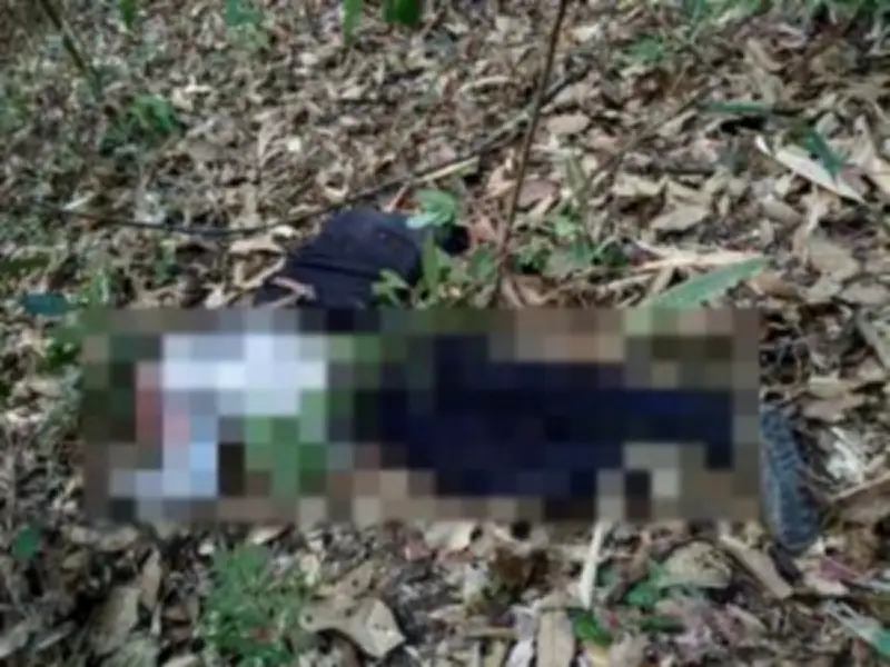 สตูลเตรียมพร้อมรับมือน้ำท่วมฉับพลัน หลังกรมอุตุฯ เตือนฝนตกหนัก-น้ำป่าไหลหลาก