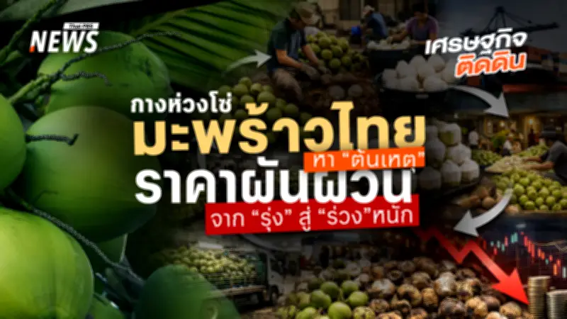 วิกฤตมะพร้าวน้ำหอมไทย ราคาดิ่งเหว ชาวสวนเดือดร้อนหนัก ถูกทุนต่างชาติกดราคา