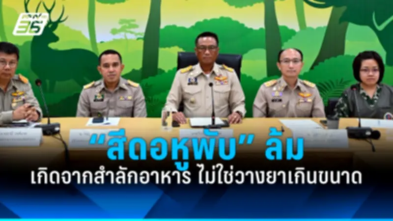 รัฐบาลเตรียมปรับปรุงระบบขนส่งสาธารณะทั่วประเทศ ตั้งเป้าลดปัญหาจราจรและมลพิษ