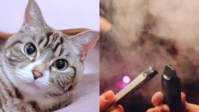 สหรัฐฯ ประกาศมาตรการคว่ำบาตรใหม่ หลังรัสเซียโจมตีโรงงานผลิตอาวุธในยูเครน