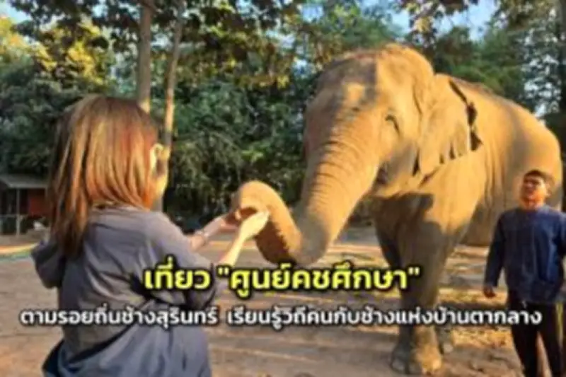 เปิดตัว 'แอปพลิเคชันเที่ยวไทย' กระตุ้นการท่องเที่ยวในประเทศ พร้อมสิทธิพิเศษมากมาย