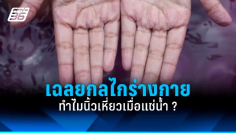 ส่องมาตรการใหม่! รัฐบาลเตรียมปรับนโยบายเศรษฐกิจเพื่อกระตุ้นการลงทุนและฟื้นฟูภาคการท่องเที่ยว