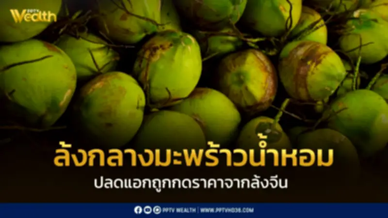 ผ่าแนวคิด 'ล้งกลางมะพร้าวน้ำหอม' ปลดแอกเกษตรกรจากล้งจีนกดราคา