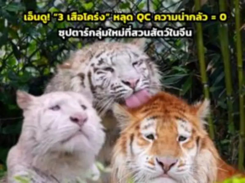 นักท่องเที่ยวแห่ชม 'น้ำตกทีลอซู' หลังเปิดฤดูกาลท่องเที่ยว รับอากาศเย็นสบาย