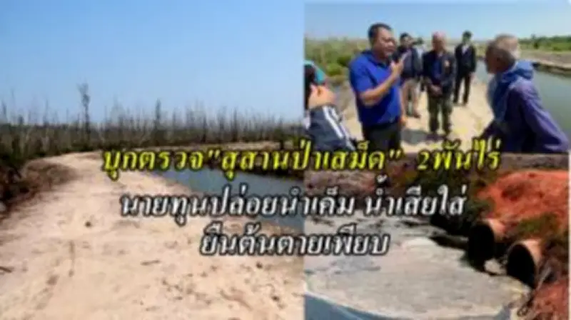 ปัตตานีเตรียมจัดงาน 'มหกรรมอาหารฮาลาล' หนุนเศรษฐกิจชุมชน-ดึงนักท่องเที่ยว