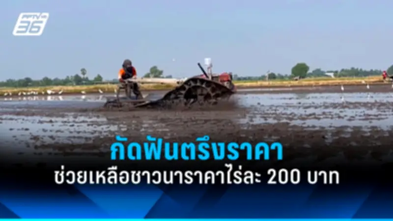 รัฐบาลเตรียมปรับปรุงกฎหมายแรงงานต่างด้าว หวังแก้ปัญหาการขาดแคลนแรงงานในภาคอุตสาหกรรม