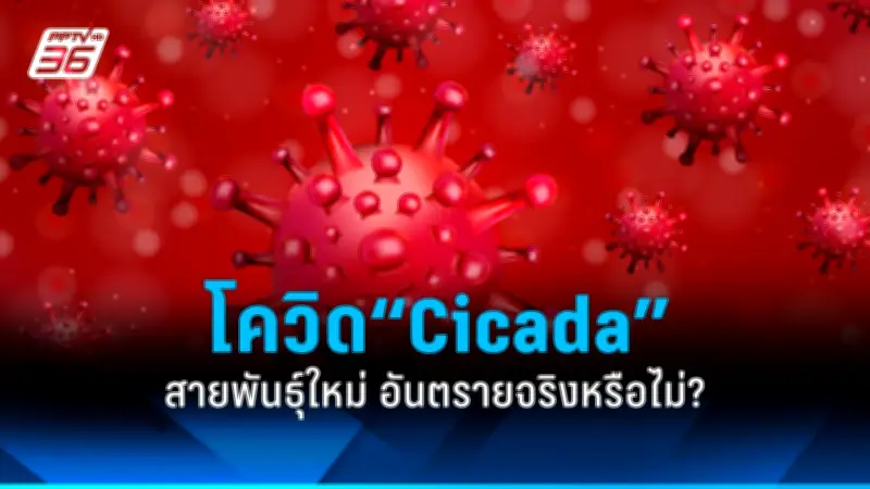 สธ. เตือนประชาชนระวังโรคไข้หวัดใหญ่สายพันธุ์ใหม่ หลังพบผู้ป่วยเพิ่มขึ้นในหลายพื้นที่