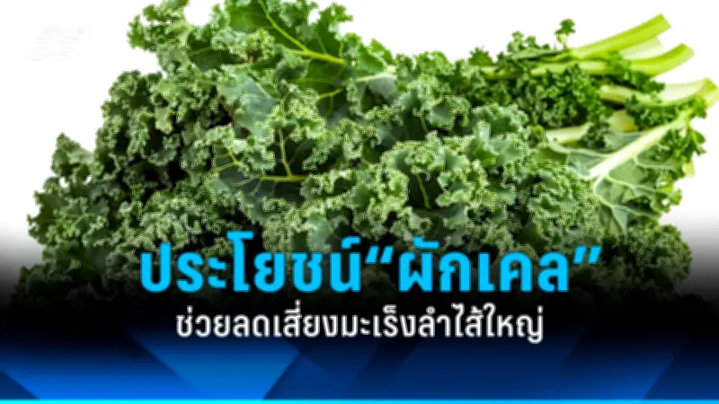 สธ. เตือนประชาชนระวังโรคไข้เลือดออกระบาดหนักช่วงฤดูฝน