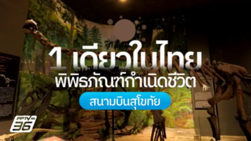 เปิดโลกดึกดำบรรพ์ที่พิพิธภัณฑ์กำเนิดชีวิต สุโขทัย ชมซากฟอสซิลสมบูรณ์ที่สุดในไทย