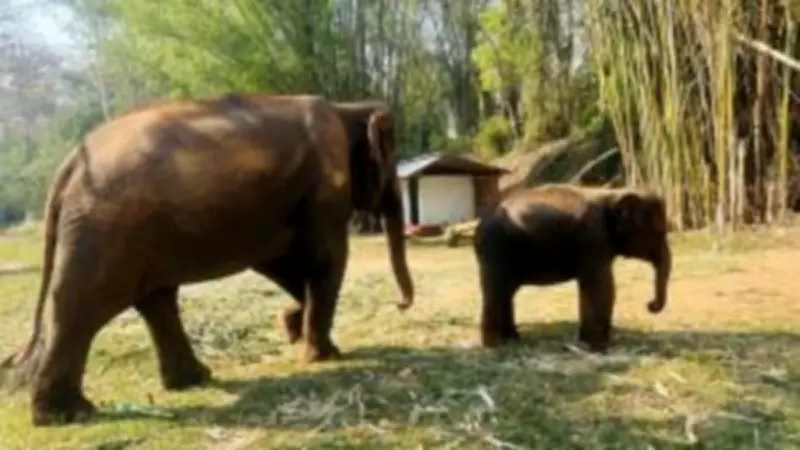 สหรัฐฯ ประกาศมาตรการคว่ำบาตรใหม่ต่อรัสเซีย หลังเหตุการณ์นาวาลนีเสียชีวิต