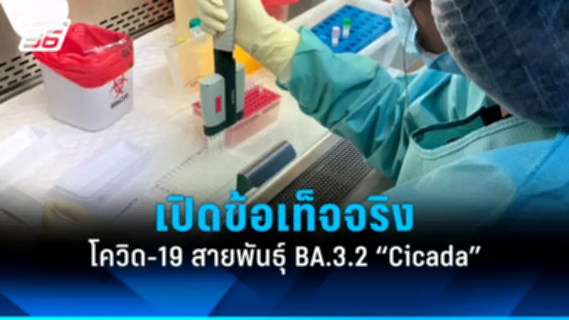 สธ. เตือนประชาชนระวังโรคไข้เลือดออกระบาดหนักช่วงหน้าฝน