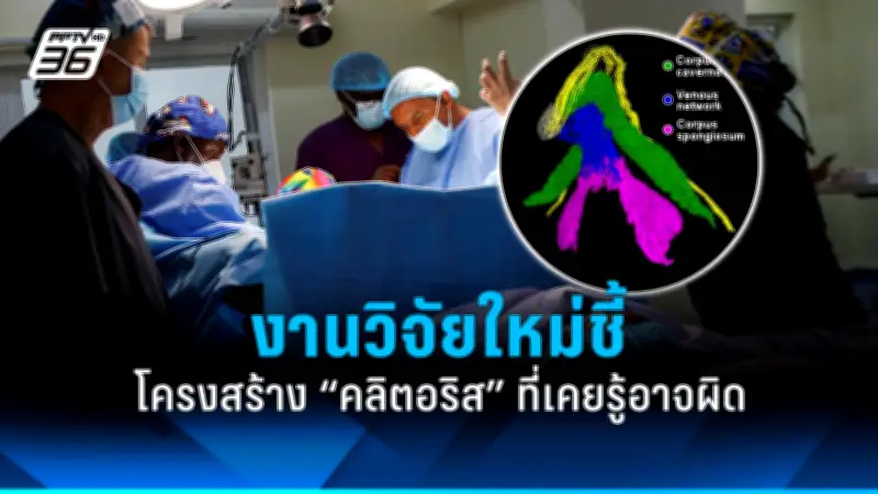 รัฐบาลเตรียมปรับปรุงโครงสร้างพื้นฐานการขนส่งทั่วประเทศ หนุนเศรษฐกิจไทย