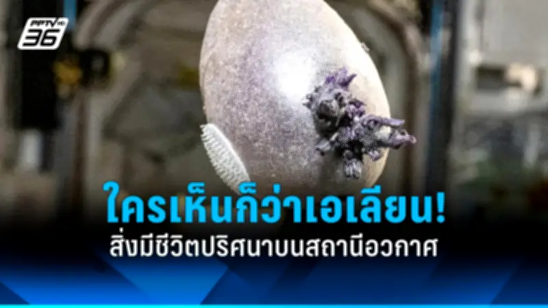 รัฐบาลไทยเตรียมปรับปรุงระบบขนส่งสาธารณะทั่วประเทศ ตั้งเป้าลดปัญหาการจราจรและมลพิษ