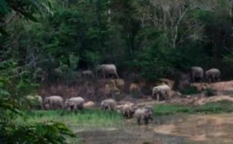 จับตา! กรมทางหลวงเร่งซ่อมแซมสะพานข้ามแยกบางบัว หลังพบรอยแตกร้าวหลายจุด
