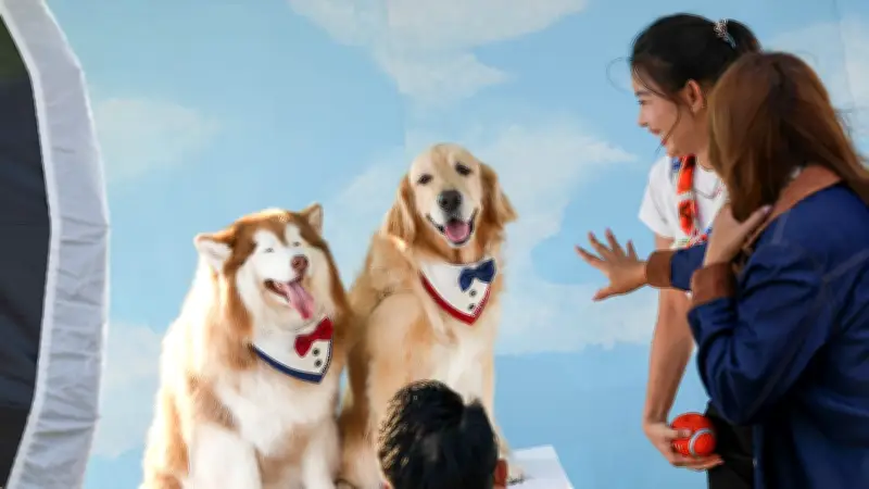 แสนสิริ BIGNIC สร้างปรากฏการณ์ปิกนิกใหญ่สุดในกรุงเทพฯ เนรมิตพื้นที่สีเขียวเป็น Living Room แห่งความสุข