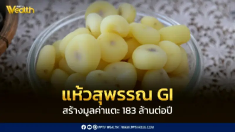 แห้วสุพรรณ GI สร้างมูลค่าท�างเศรษฐกิจกว่า 183 ล้านบาทต่อปี กรมทรัพย์สินทางปัญญาติดตามครบ 10 ปี