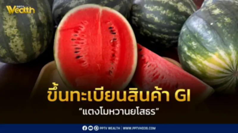 กรมทรัพย์ฯ ขึ้นทะเบียน GI “แตงโมหวานยโสธร” สร้างมูลค่าทางเศรษฐกิจกว่า 48 ล้านบาท