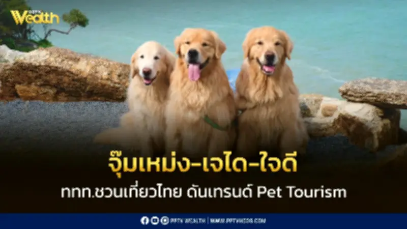 ททท. จับมืออินฟลูเอนเซอร์สัตว์เลี้ยง 'Japan and Friends' ผลักดันเทรนด์ Pet Tourism ในไทย