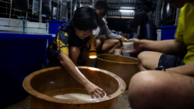 อาจารย์จุฬาฯ คว้ารางวัล Pew Marine Fellowship 2026 คนไทยคนแรกในประวัติศาสตร์