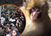 ญี่ปุ่นเผชิญวิกฤตประชากรลดฮวบ ตั้งเป้าดึงดูดแรงงานต่างชาติ 1 ล้านคนภายในปี 2033