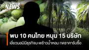 กรมพัฒน์ฯ ร่วม 10 หน่วยงาน สกัดปัญหานอมินีมะพร้าวน้ำหอม พบ 15 บริษัทเสี่ยงกระจาย 5 จังหวัด