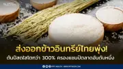 ตลาดจีนโตสวนกระแส! ส่งออกข้าวอินทรีย์ไทยพุ่งกว่า 300% ในปี 2569