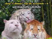 นักท่องเที่ยวแห่ชม 'น้ำตกทีลอซู' หลังเปิดฤดูกาลท่องเที่ยว รับอากาศเย็นสบาย