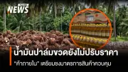 กรมการค้าภายในติดตามราคาน้ำมันปาล์มใกล้ชิด ย้ำสต๊อกเพียงพอ-ยังไม่ปรับขึ้นราคา