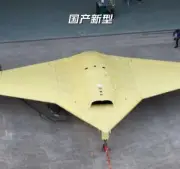 จีนเตรียมปรับปรุงกฎหมายคุ้มครองสัตว์ป่า หลังพบการลักลอบค้าสัตว์ใกล้สูญพันธุ์เพิ่มขึ้น