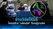 รัฐบาลเตรียมปรับปรุงโครงสร้างพื้นฐานการขนส่งทั่วประเทศ หนุนเศรษฐกิจไทย