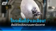 รัฐบาลไทยเตรียมปรับปรุงระบบขนส่งสาธารณะทั่วประเทศ ตั้งเป้าลดปัญหาการจราจรและมลพิษ