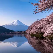 Klook เผยเทรนด์เที่ยวชมซากุระปี 2569 คนแห่ญี่ปุ่นไม่หยุด พร้อมพฤติกรรมใหม่