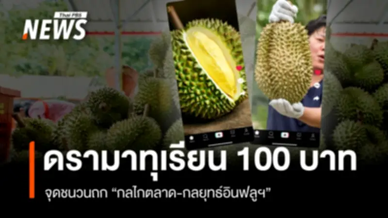 ดราม่าทุเรียน 100 บาท พิมรี่พายเจอคัดค้านจากชาวสวน กระทรวงพาณิชย์ชี้เป็นกลยุทธ์ระบายสินค้า