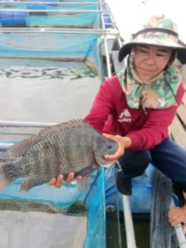 แม่ค้าขายลอตเตอรี่ถูกหวย 12 ล้าน หลังฝันเห็นเลข 3 ตัวติดกัน