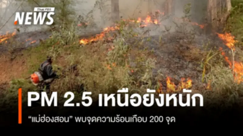 ฝุ่นพิษภาคเหนือยังวิกฤต! อ.แม่สาย-ลี้ เกินมาตรฐานแดงต่อเนื่อง 15 วัน แม่ฮ่องสอนพบจุดความร้อนเกือบ 200 จุด