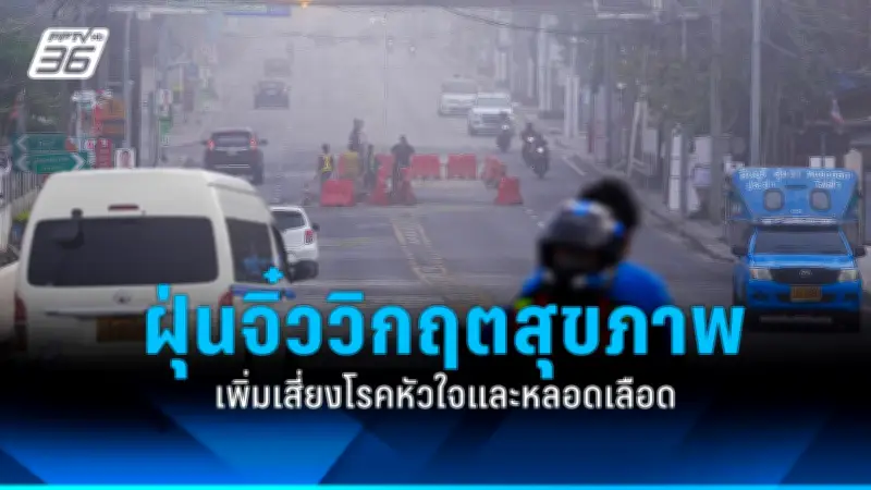 สธ. เตือนภัยไข้เลือดออกปี 2568 ระบาดหนัก กลุ่มเสี่ยงเสียชีวิตสูง