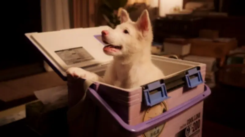 สธ. เตือนภัย! โรคไข้เลือดออกระบาดหนักในภาคเหนือ หลังพบผู้ป่วยเพิ่มขึ้น 30%