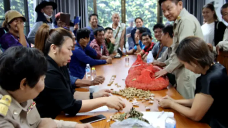 ชาวไร่ถั่วลายเสือแม่ฮ่องสอนกว่า 300 รายร้องสส.ปกรณ์ถูกพ่อค้าต่างชาติกดราคา