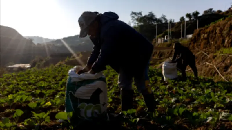 ยูเอ็นเตือน 32 ล้านคนเสี่ยงตกสู่ความยากจน แม้สงครามตะวันออกกลางยุติพรุ่งนี้